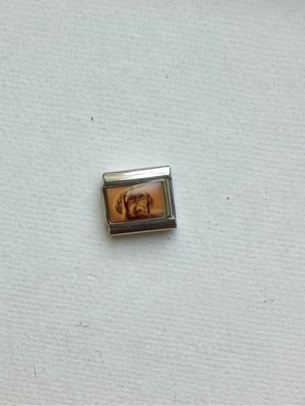 Italian-themed Stainless Steel Charm with Chocolate Labrador Retriever Puppy